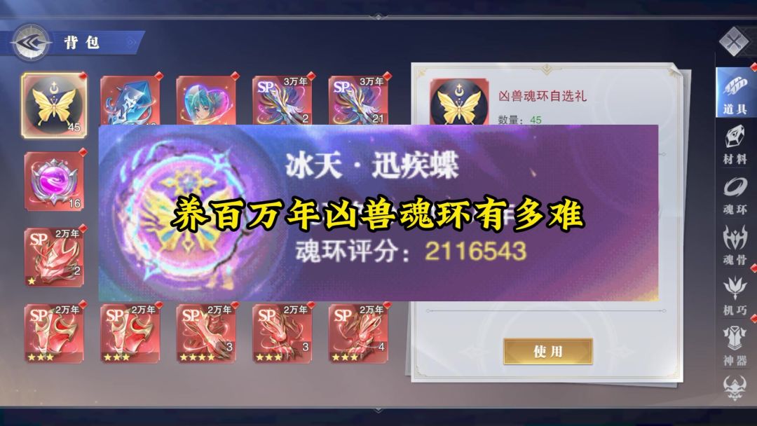 video-4288471