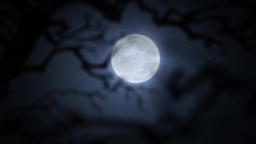 狼人杀全新觉醒角色——觉醒女巫，8月3日魔潮归来！