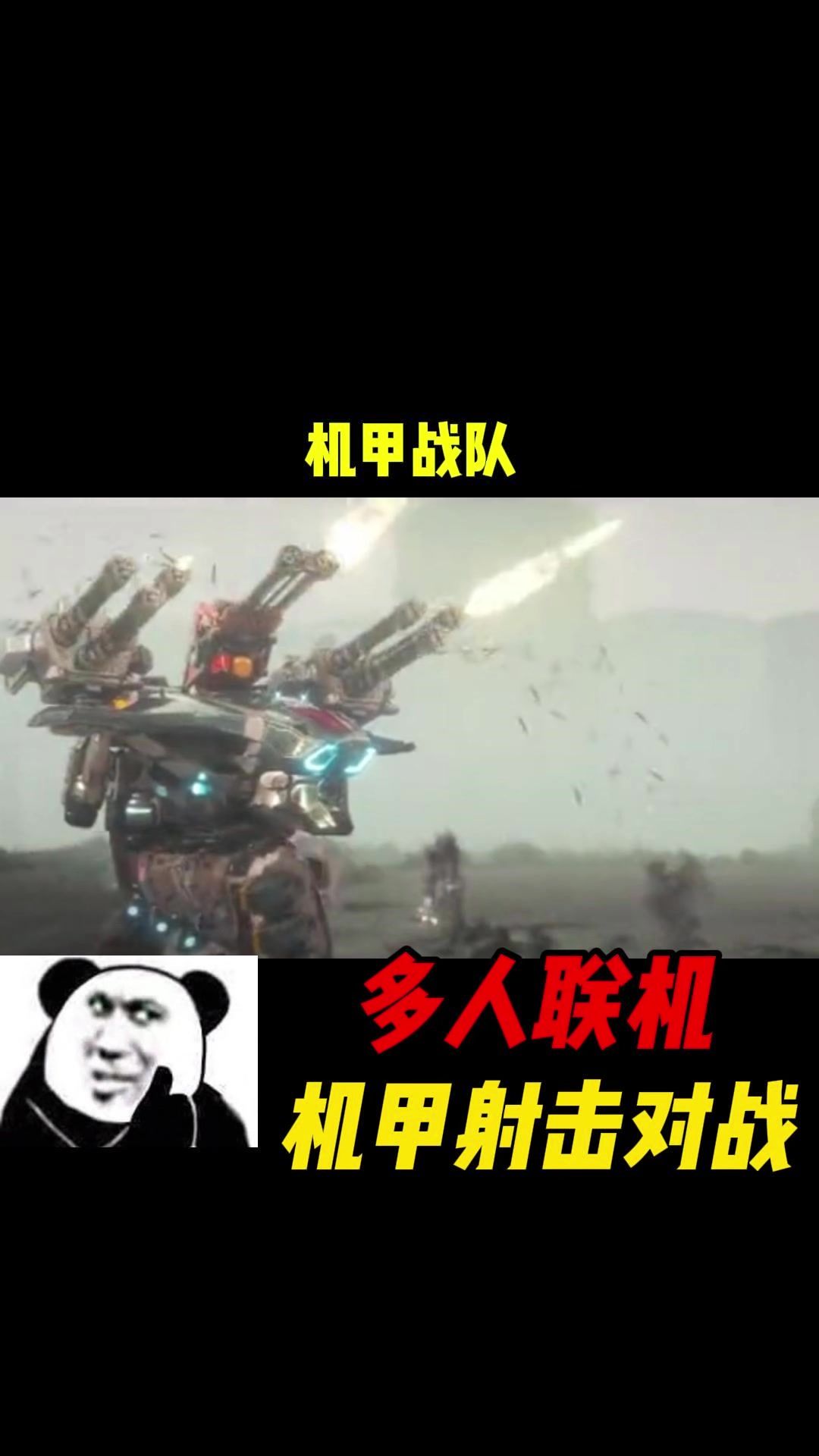 video-4291479
