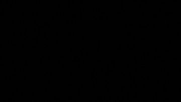 出场角色|金角大王