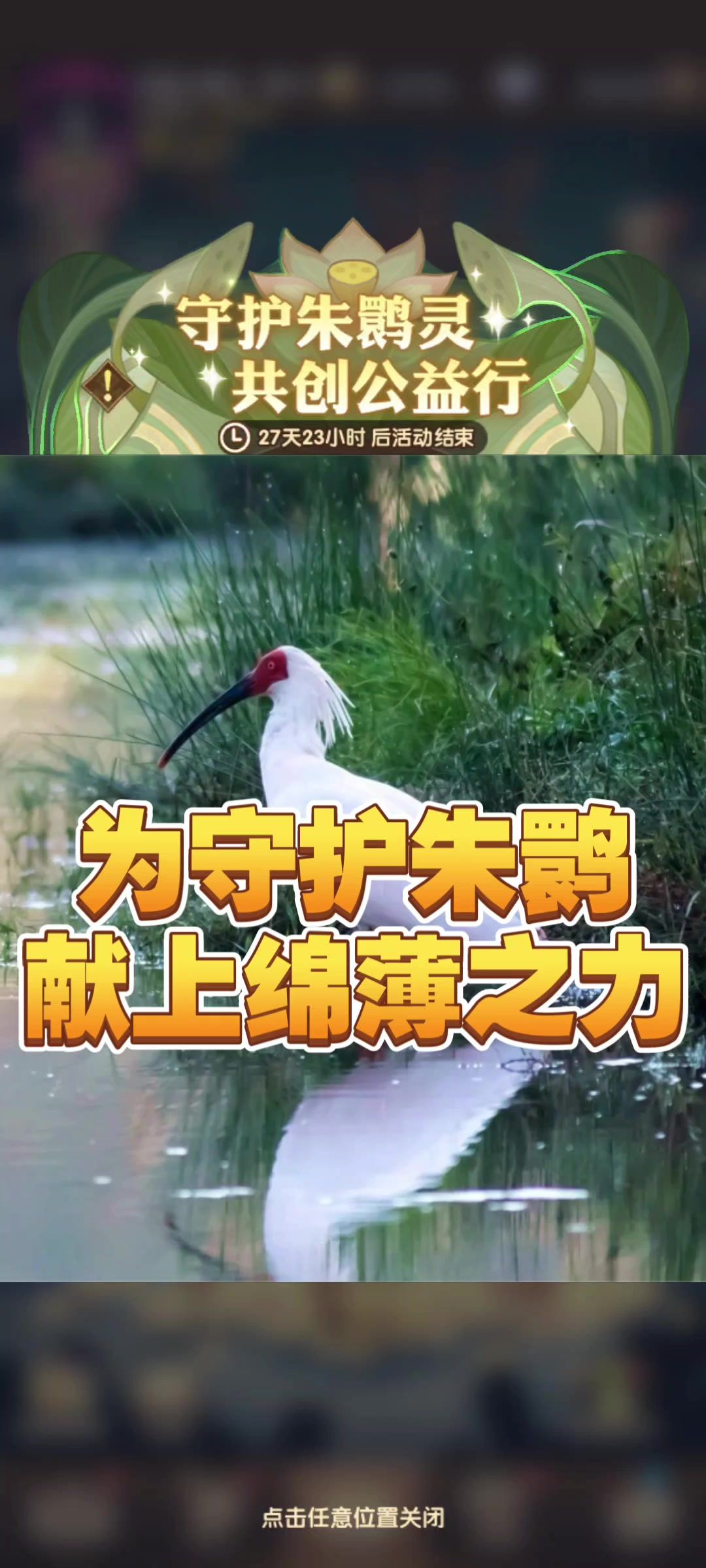 video-4292886