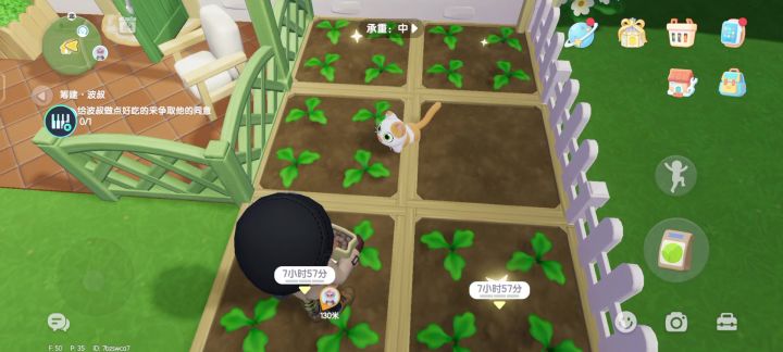 这瘟猫能退掉吗截图