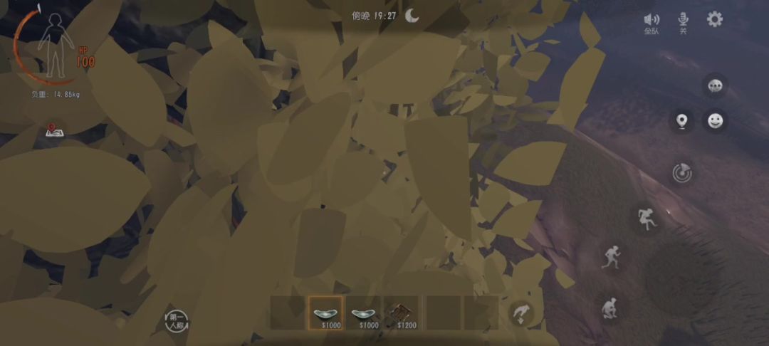 video-4296837