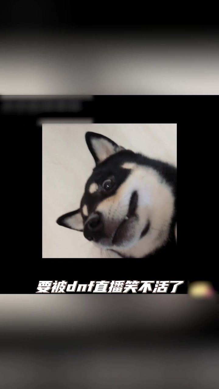 SKY Miss直播DNF手游PK 结局出乎意料截图