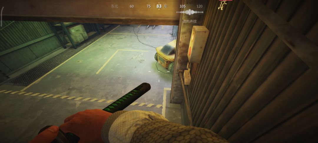 video-4300475