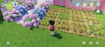 发现一个非常实用的种菜小技巧