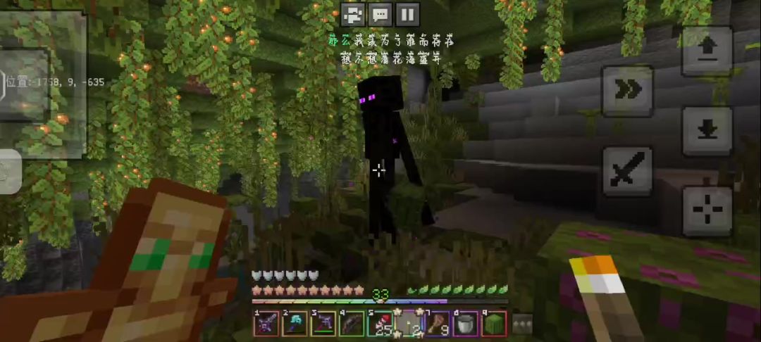 video-4305099