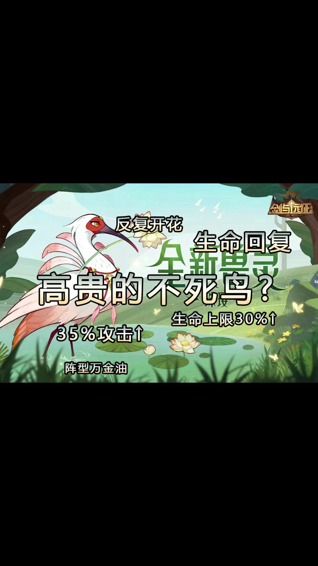video-4305125