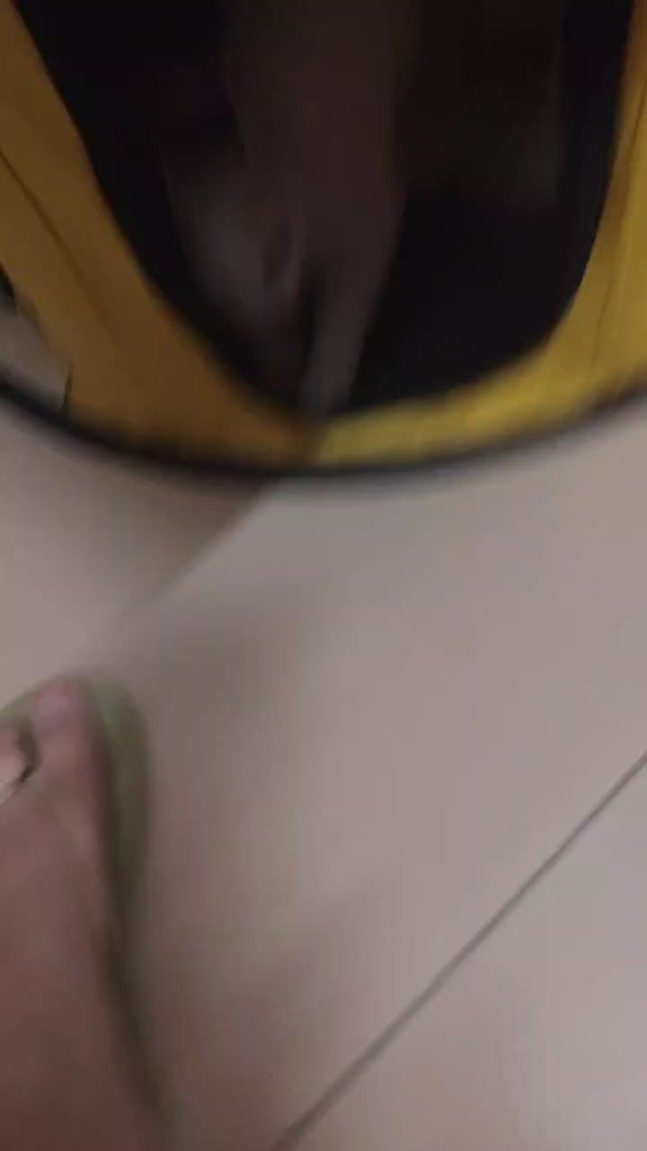 怀孕小猫截图