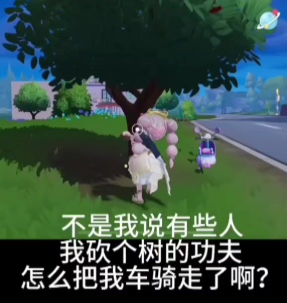 video-4309207