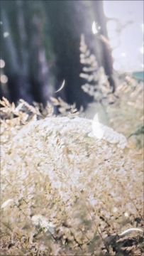 ‘怪盗钴’召唤师皮肤登场！