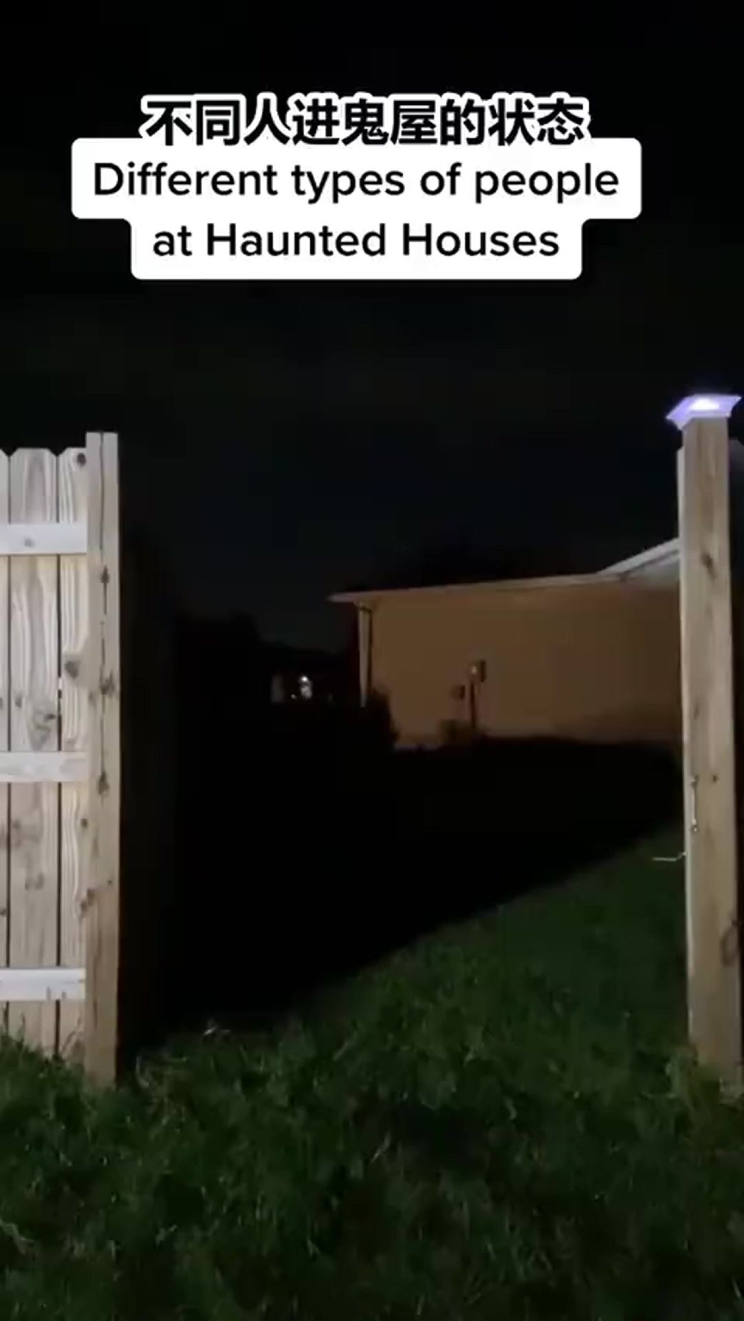 video-4318862