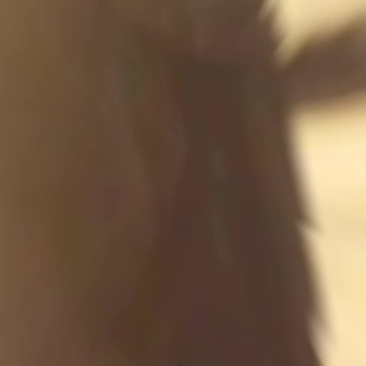 video-4326909