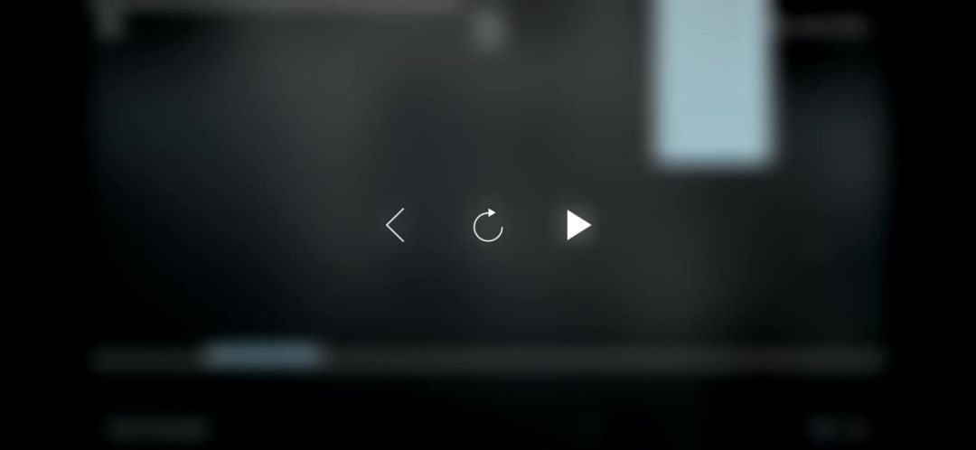 video-4327219