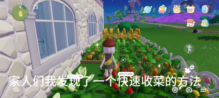 心动小镇收菜技巧截图