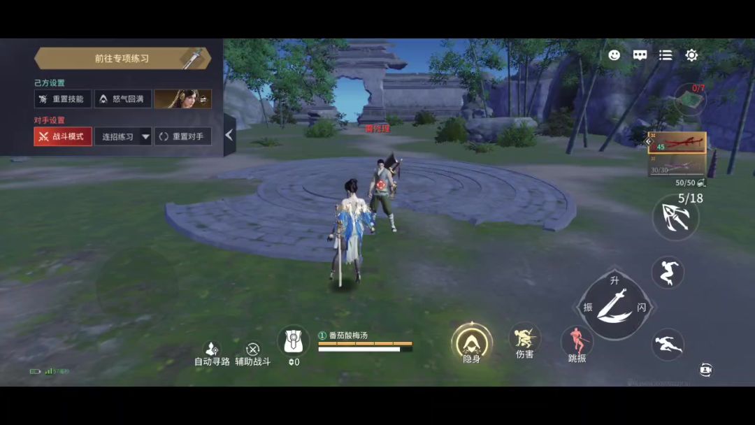 video-4334640