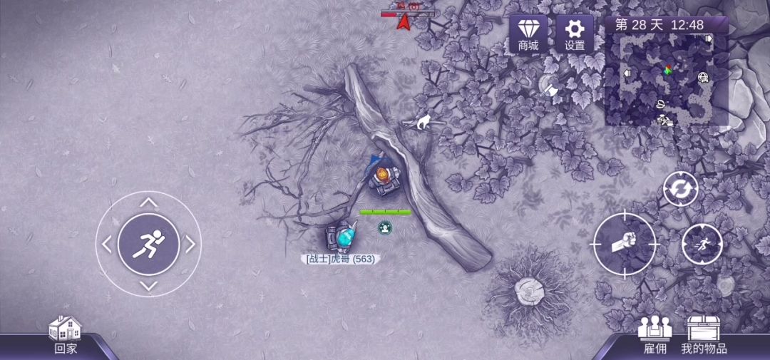 video-4335500