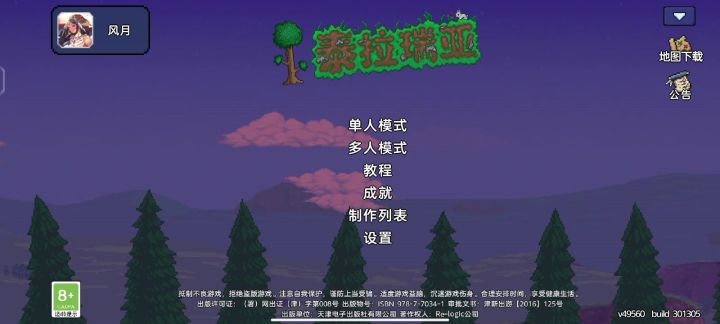 泰拉瑞亚bug截图