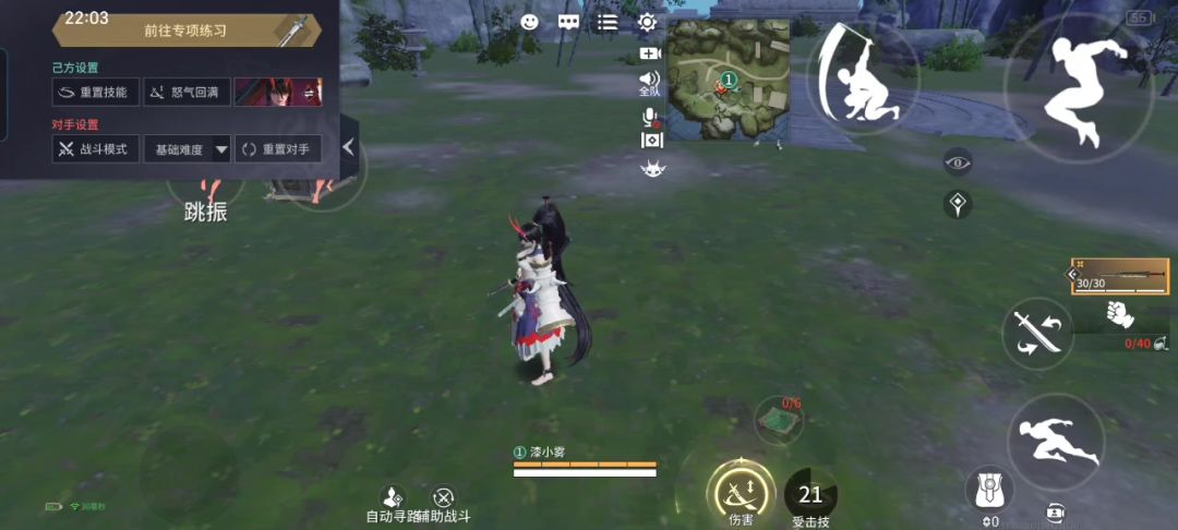 video-4346440