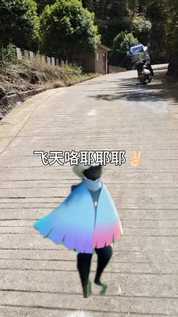 video-4348165