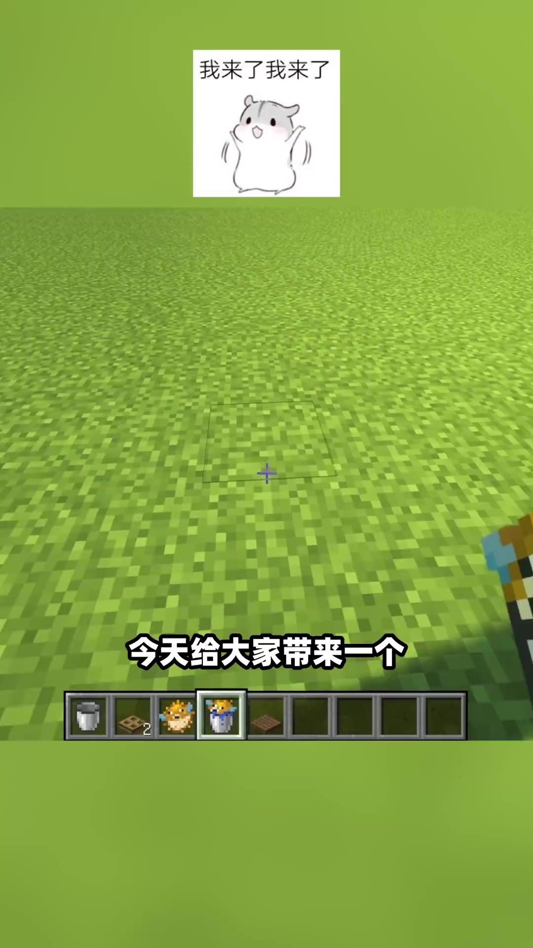 video-4349890