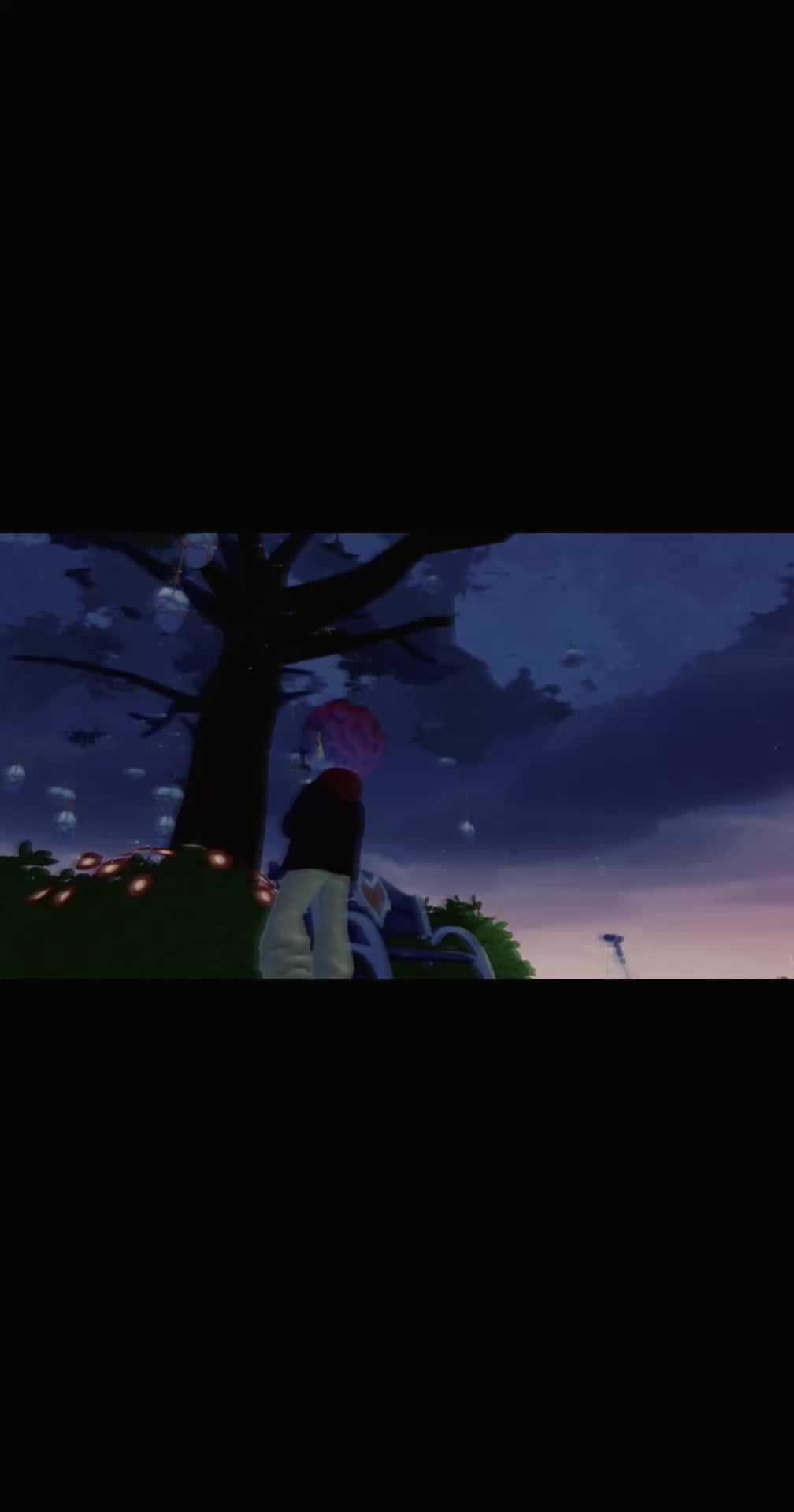 video-4351647