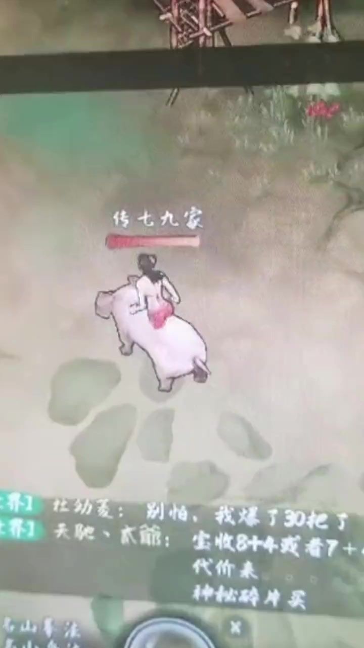 各区有群,新区有群截图