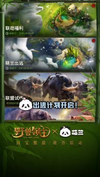 萌兰出逃，差你助力！联动玩法已上线，一起带萌兰看竹海吧~