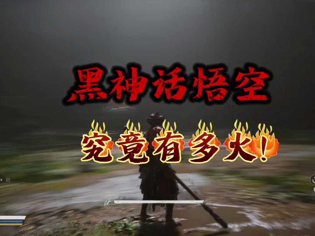 video-4354313