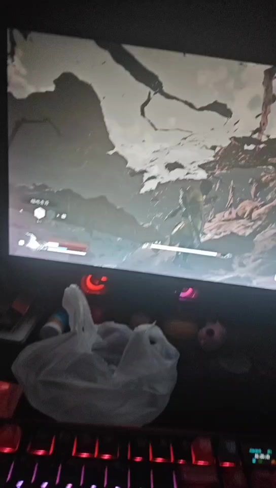 第一次见疯虎一巴掌给我盖地下去了截图