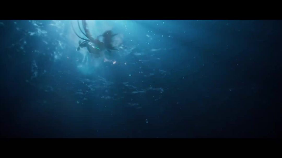 video-4355242