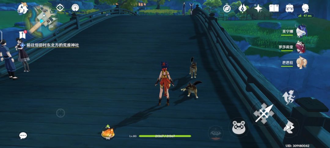 video-4357897