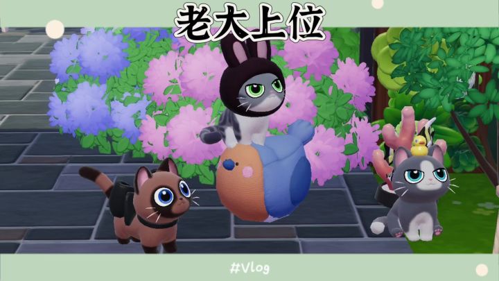 欢迎看我的宠物剧场截图