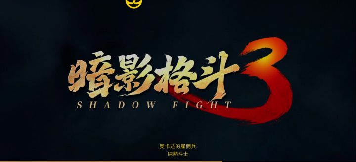 这套装版本答案了截图