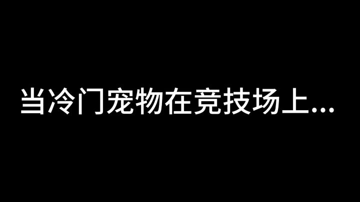 冷门宠物的竞技对决截图