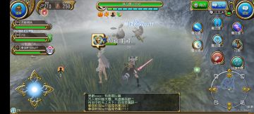 双buff叠伤宠研究进展