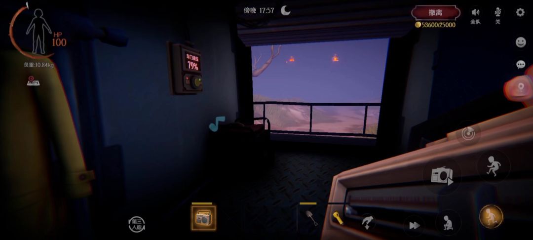 video-4370715