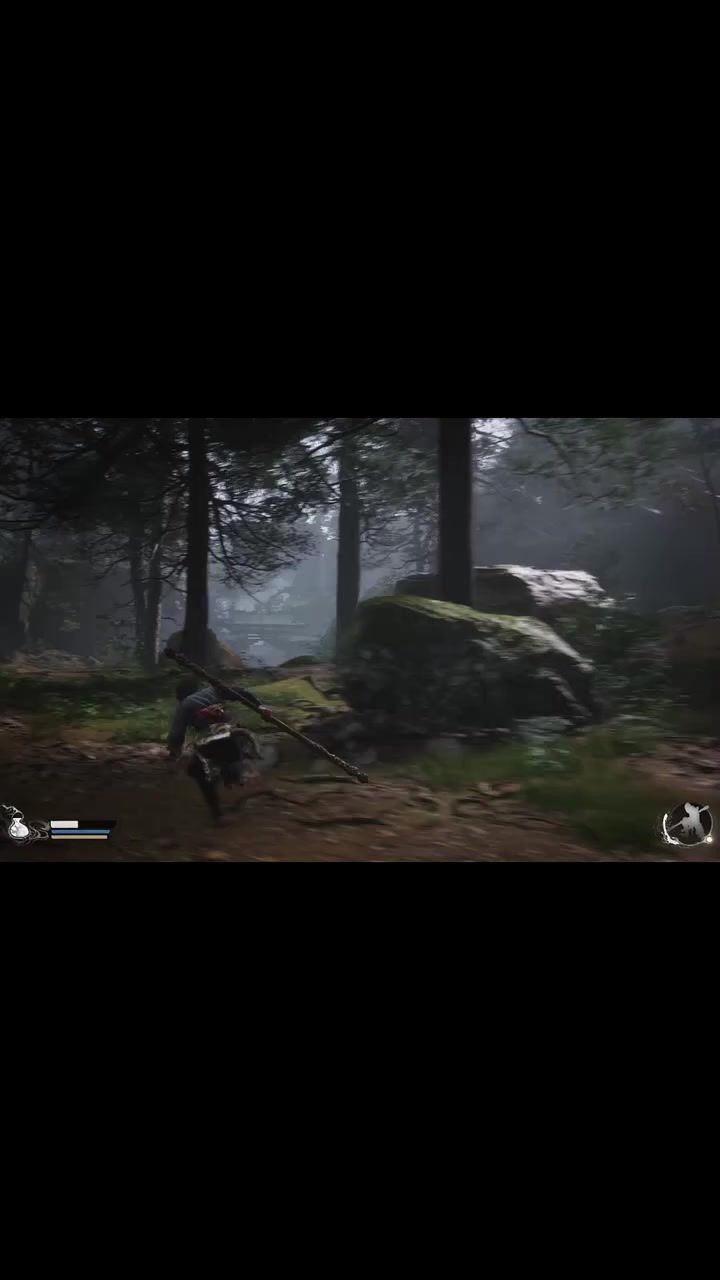 video-4371093