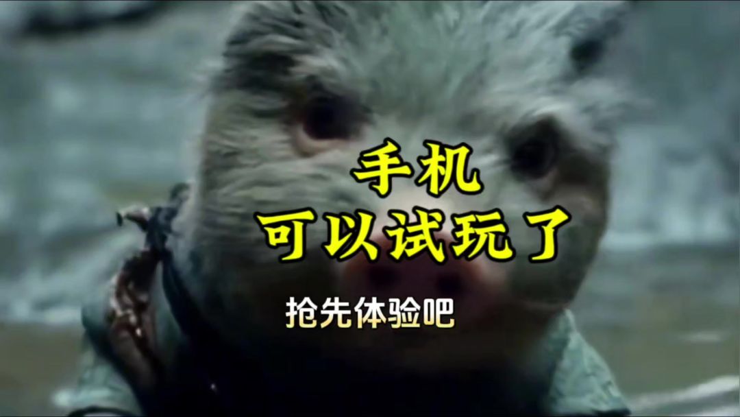 video-4371743