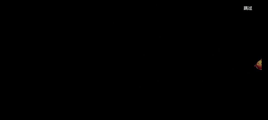 video-4378061