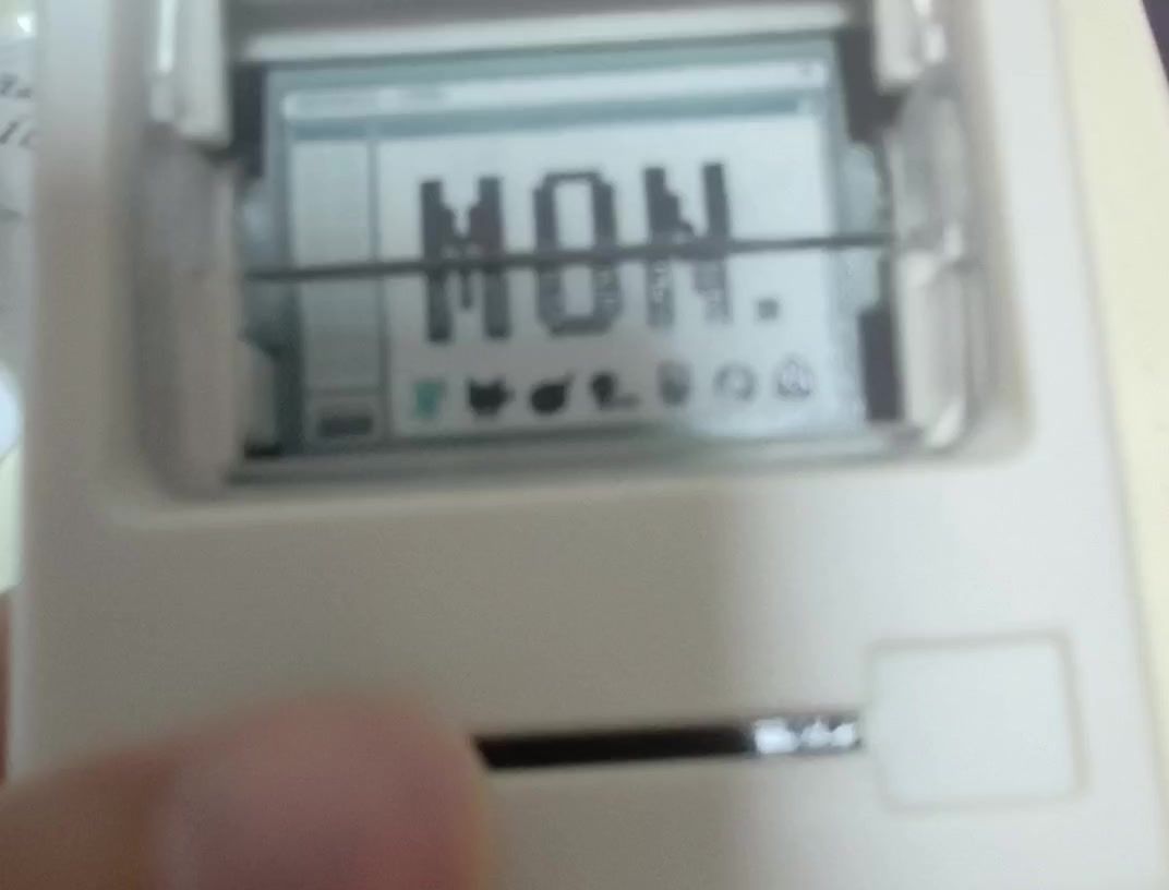 video-4379239