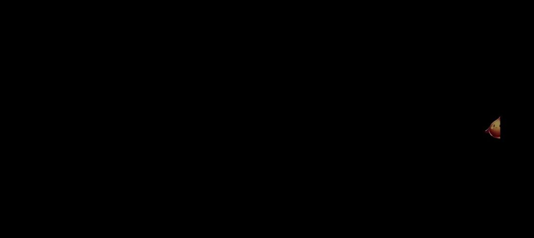 video-4379827