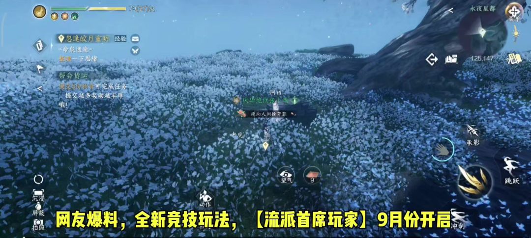 video-4385205
