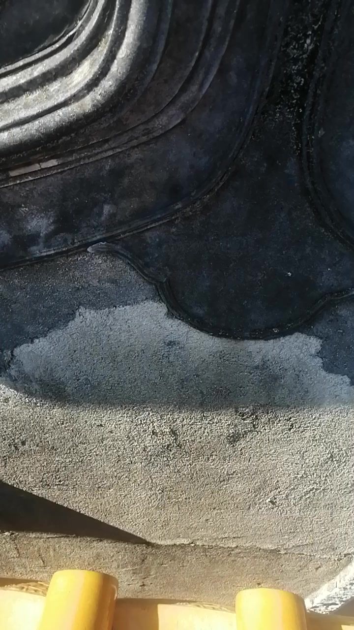 video-4386031