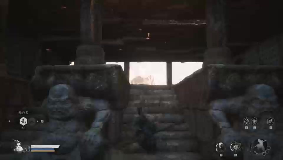 video-4388899