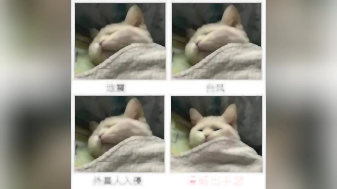 video-4389144