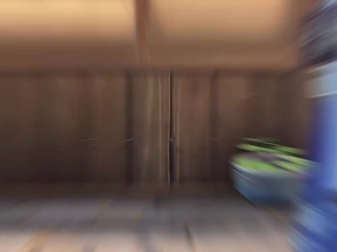 video-4391366