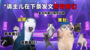 盛世芳华，但是在猫meme剧场里。