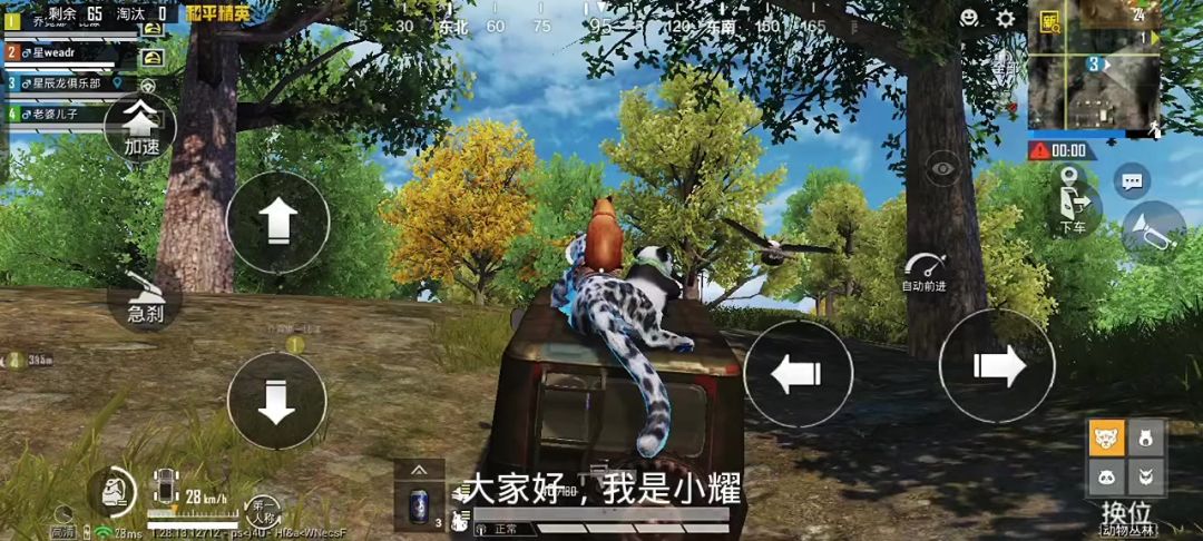 video-4399910