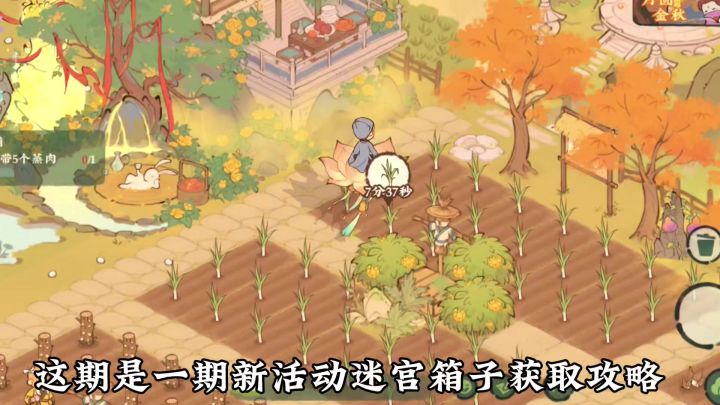 新活动迷宫箱子攻略截图